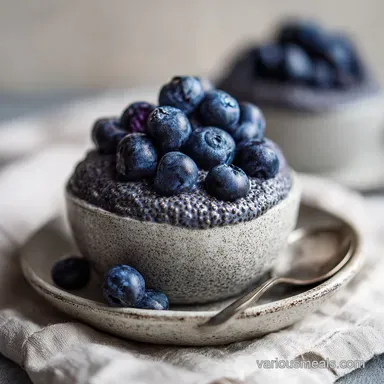 Blueberry Chia Pudding with Coconut Milk
