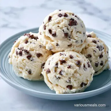 Chocolate Chip Ice Cream for 8 Servings