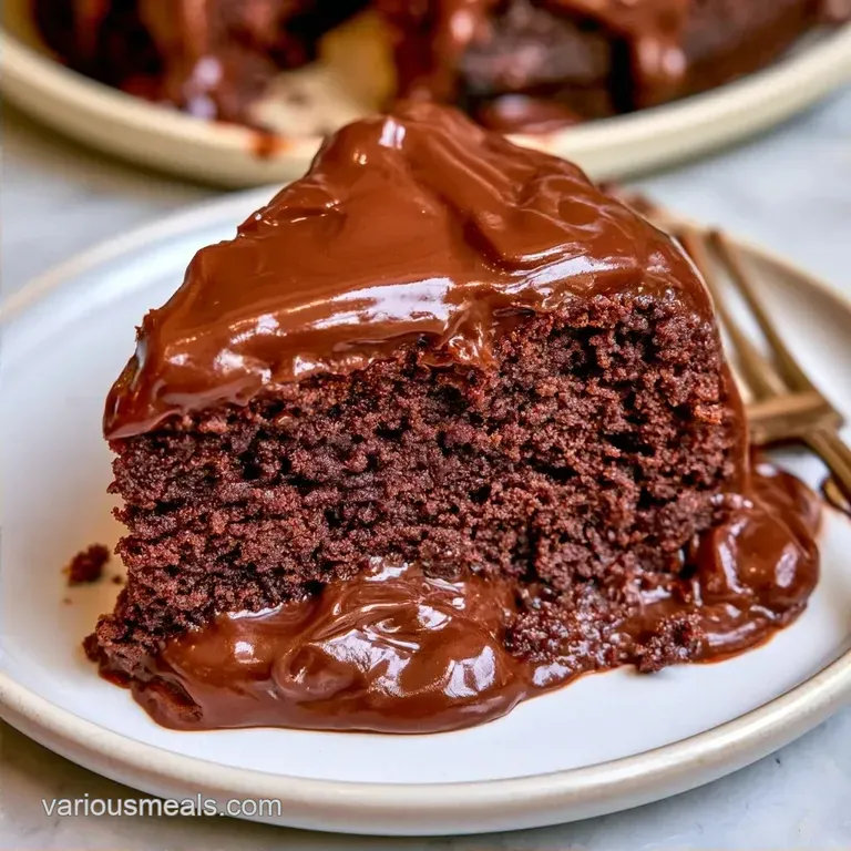 Moist Chocolate Harvest Cake