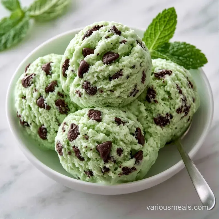 Two smooth scoops of frosty white dessert in a white porcelain bowl topped with fresh blueberries and a mint leaf.